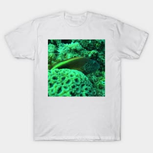 Freckled hawkfish T-Shirt